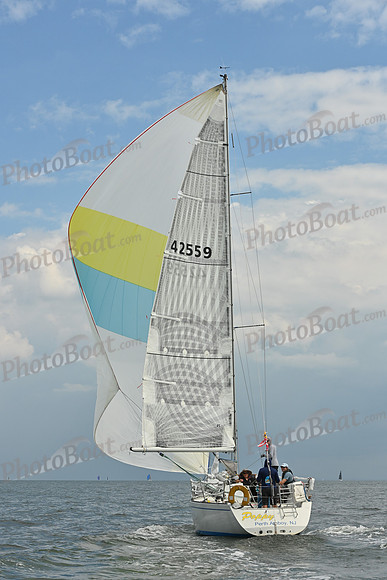 2025 Vineyard Race A_1192