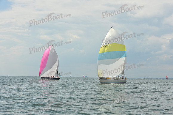 2025 Vineyard Race A_0569