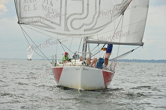 2025 Vineyard Race A_1262