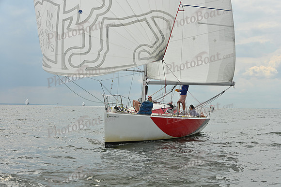 2025 Vineyard Race A_1263