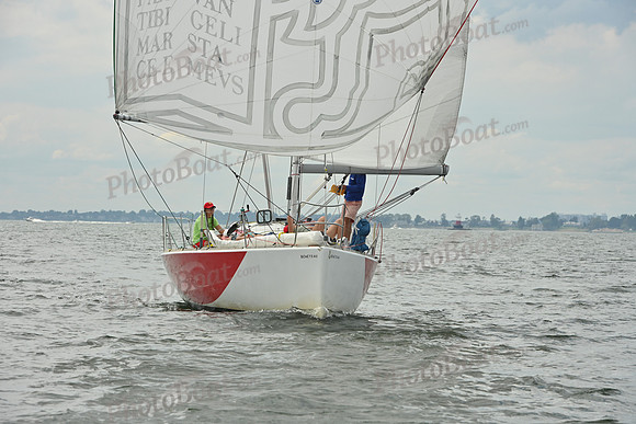2025 Vineyard Race A_1259