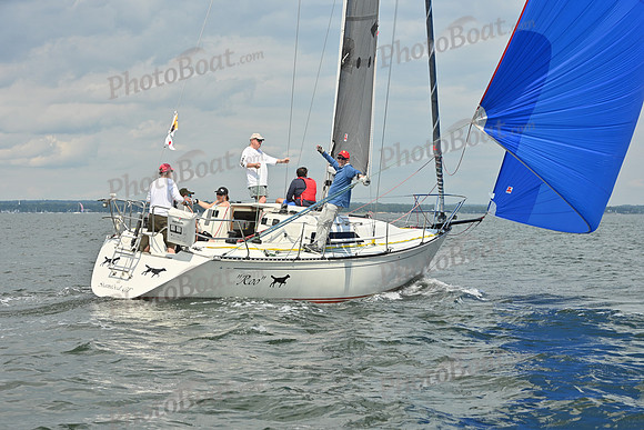 2025 Vineyard Race A_0229