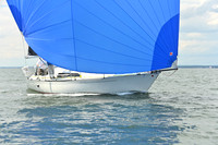 2025 Vineyard Race A_0225