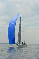 2025 Vineyard Race A_0218