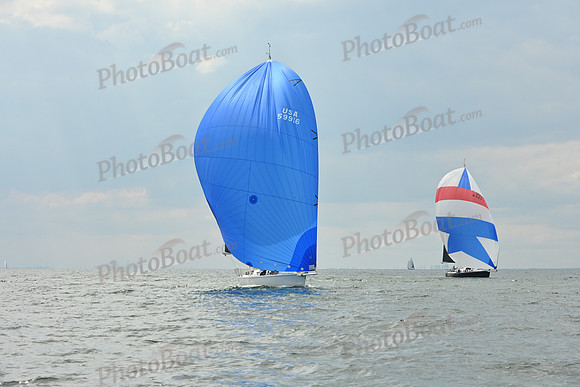 2025 Vineyard Race A_0947