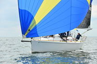 2025 Vineyard Race A_1133