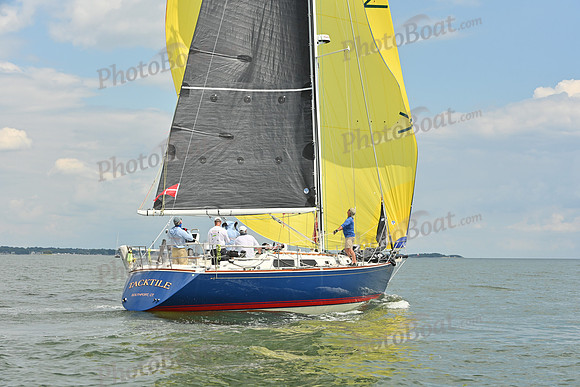 2025 Vineyard Race A_0562