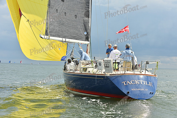 2025 Vineyard Race A_0559