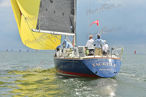 2025 Vineyard Race A_0560