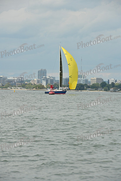 2025 Vineyard Race A_0541