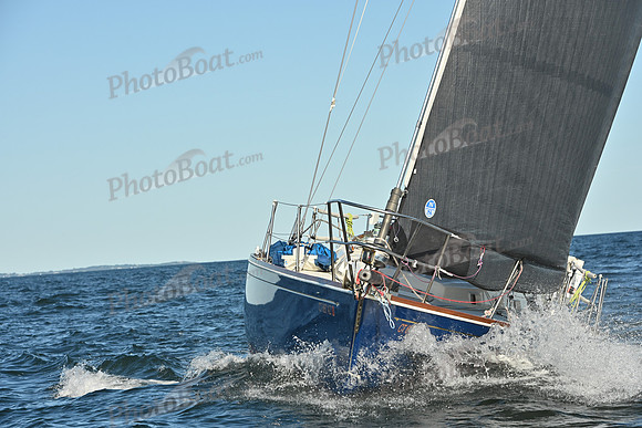 PHB_4353
