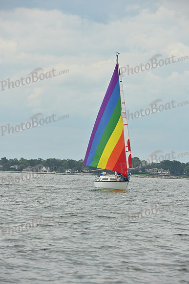 2025 Vineyard Race A_0425