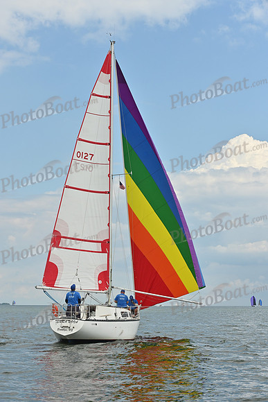 2025 Vineyard Race A_0453