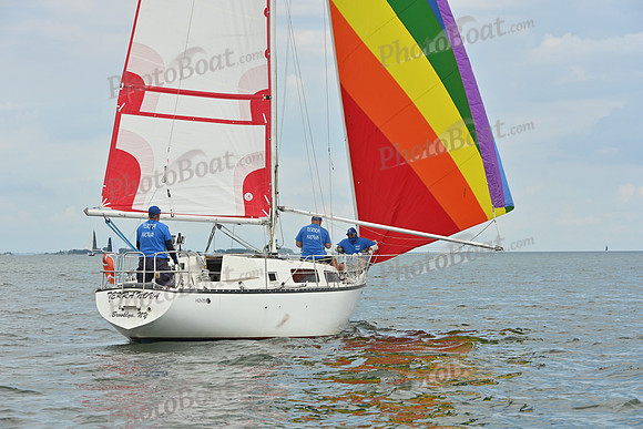 2025 Vineyard Race A_0455