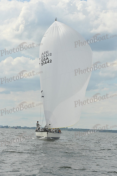 2025 Vineyard Race A_1280