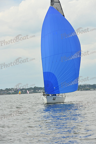 2025 Vineyard Race A_0406