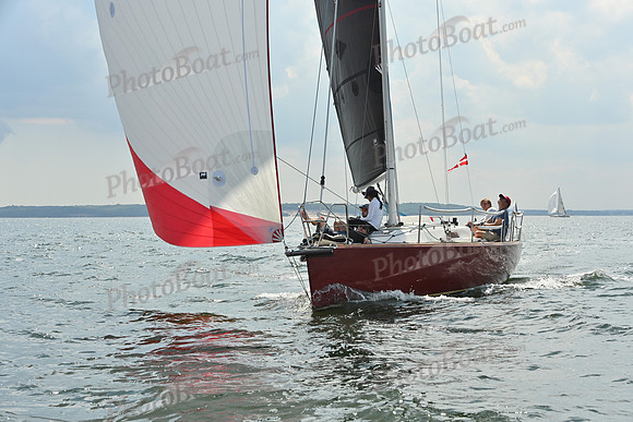 2025 Vineyard Race A_0730