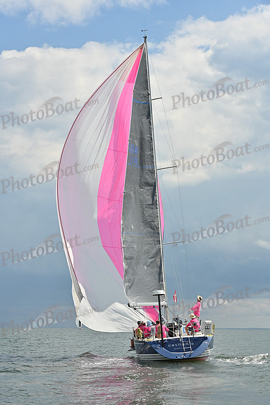 2025 Vineyard Race A_0601