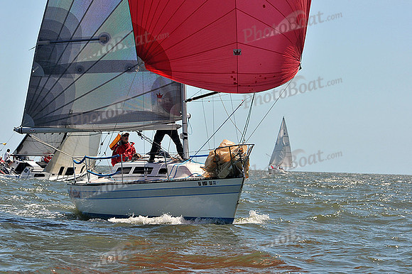2014 Southern Bay Race Week D 617