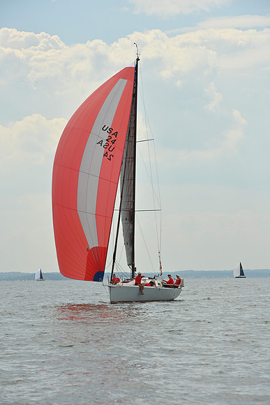 2025 Vineyard Race A_0463