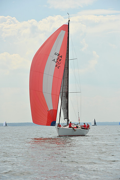 2025 Vineyard Race A_0464
