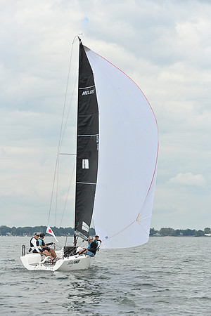 2025 Vineyard Race A_0016