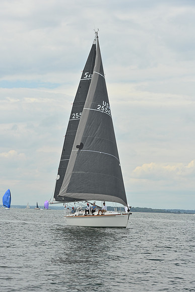 2025 Vineyard Race A_0073