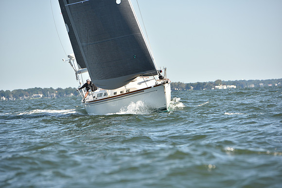 2023 Vineyard Race A_0049