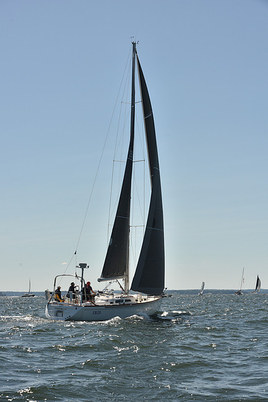 2023 Vineyard Race A_0058