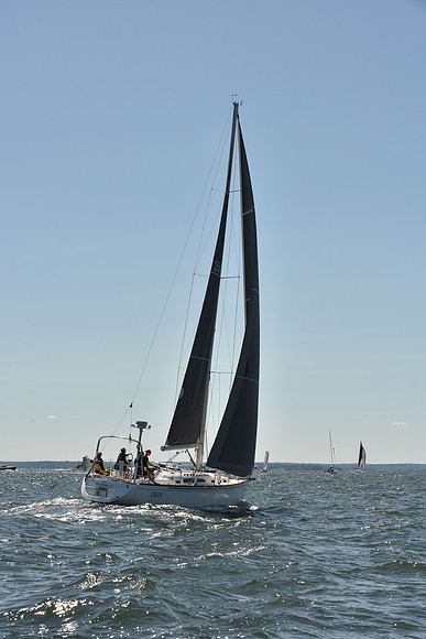 2023 Vineyard Race A_0059