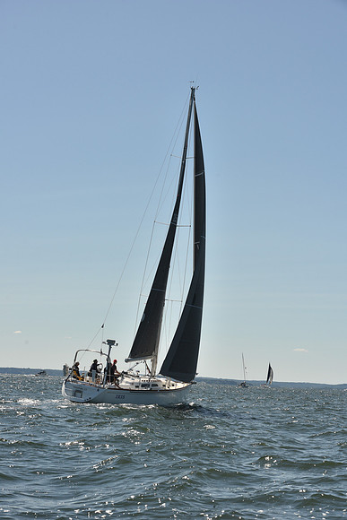 2023 Vineyard Race A_0060