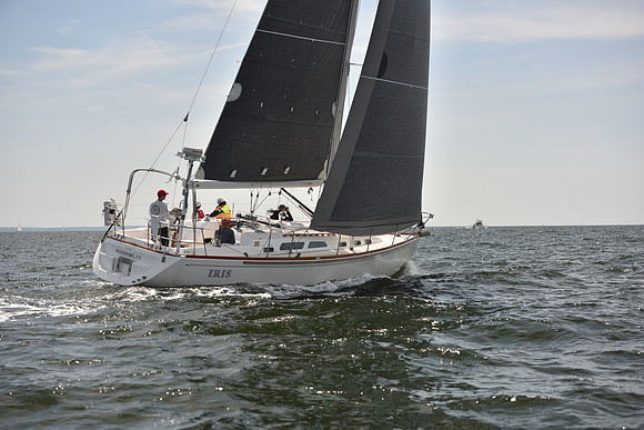 2023 Vineyard Race B_0048