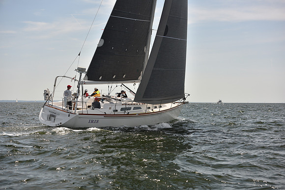 2023 Vineyard Race B_0050