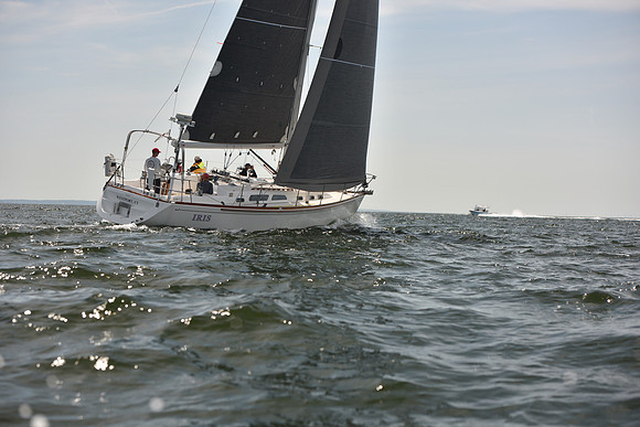 2023 Vineyard Race B_0052