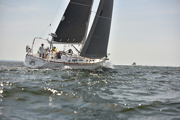 2023 Vineyard Race B_0054