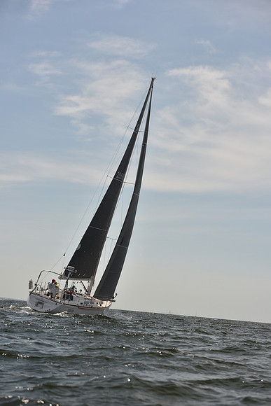 2023 Vineyard Race B_0057