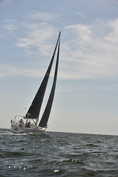 2023 Vineyard Race B_0058