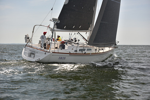 2023 Vineyard Race B_0070