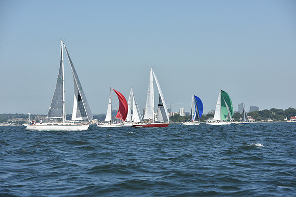 2019 Vineyard Race A_0195