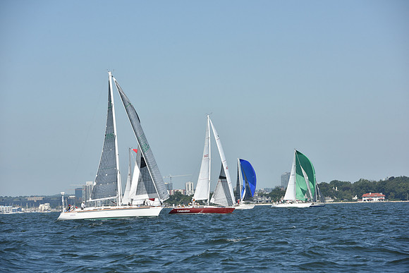 2019 Vineyard Race A_0198