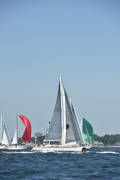 2019 Vineyard Race A_0201