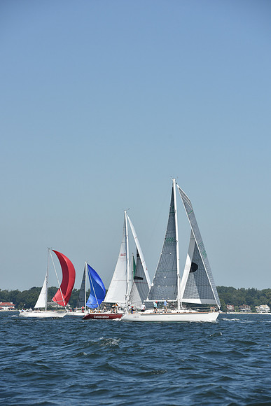 2019 Vineyard Race A_0205