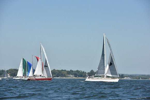 2019 Vineyard Race A_0210