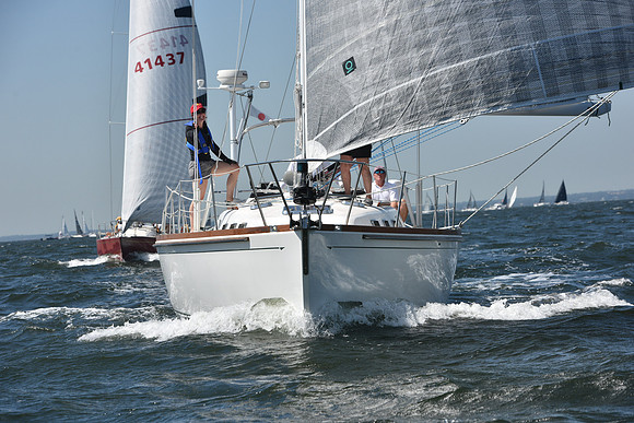 2019 Vineyard Race A_0261