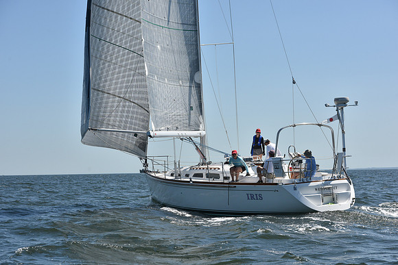 2019 Vineyard Race A_0273