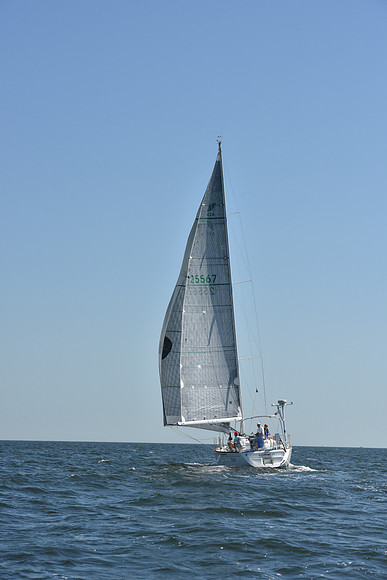 2019 Vineyard Race A_0280
