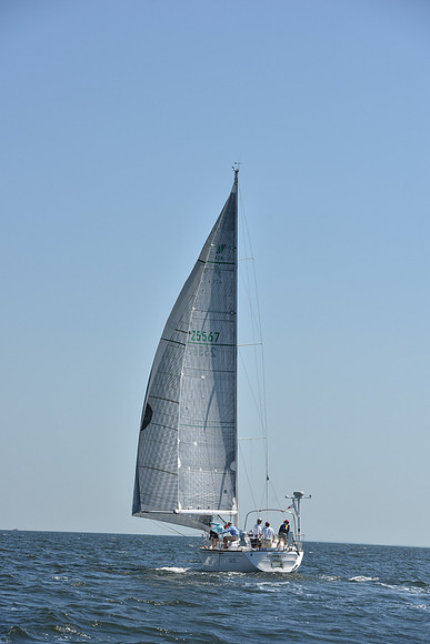 2019 Vineyard Race A_0291