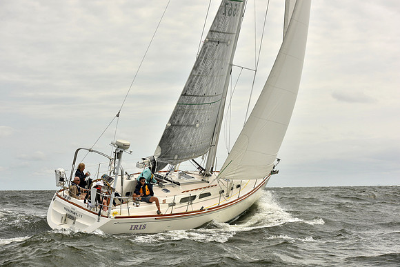 2018 Vineyard Race A_0228