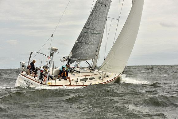 2018 Vineyard Race A_0229