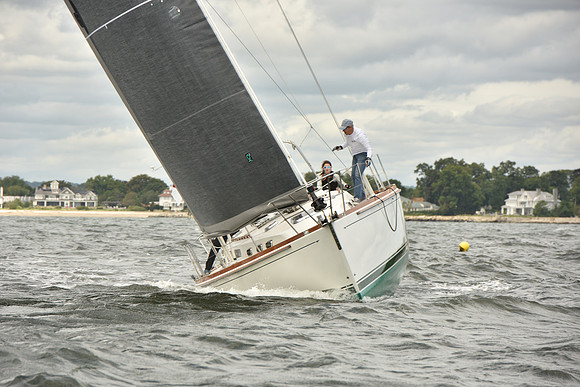 2024 Vineyard Race A_1459